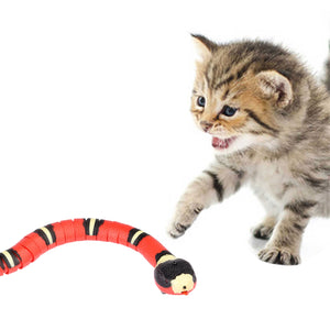 Smart Sensing Snake Toy for Cats